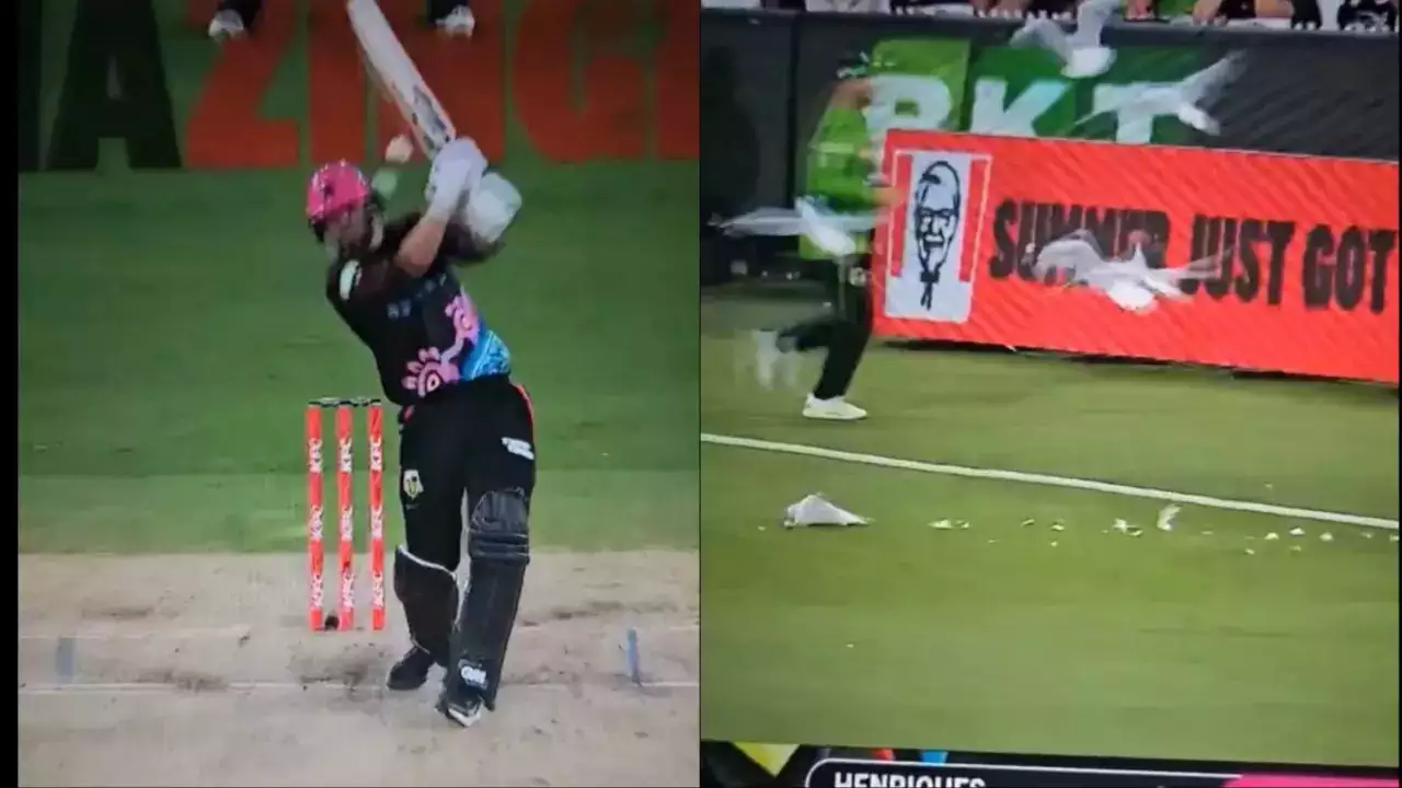 England Batter James Vince's Big Shot In Big Bash League Takes Down Seagull, Video Goes Viral- WATCH