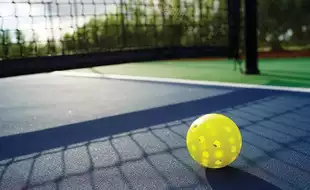 Canadian Mayor Resigns After Council Votes In Favour Of Building New Pickleball Courts